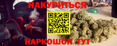 гидра Малгобек