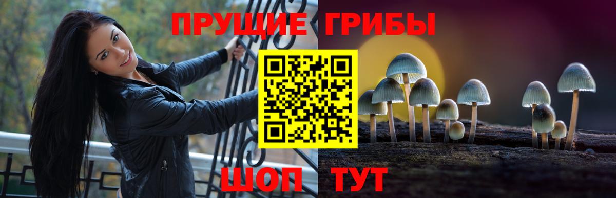 Псилоцибиновые грибы Magic Shrooms Губаха