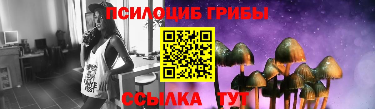 продажа наркотиков  Вход с VPN  Губаха  Псилоцибиновые грибы GOLDEN TEACHER 